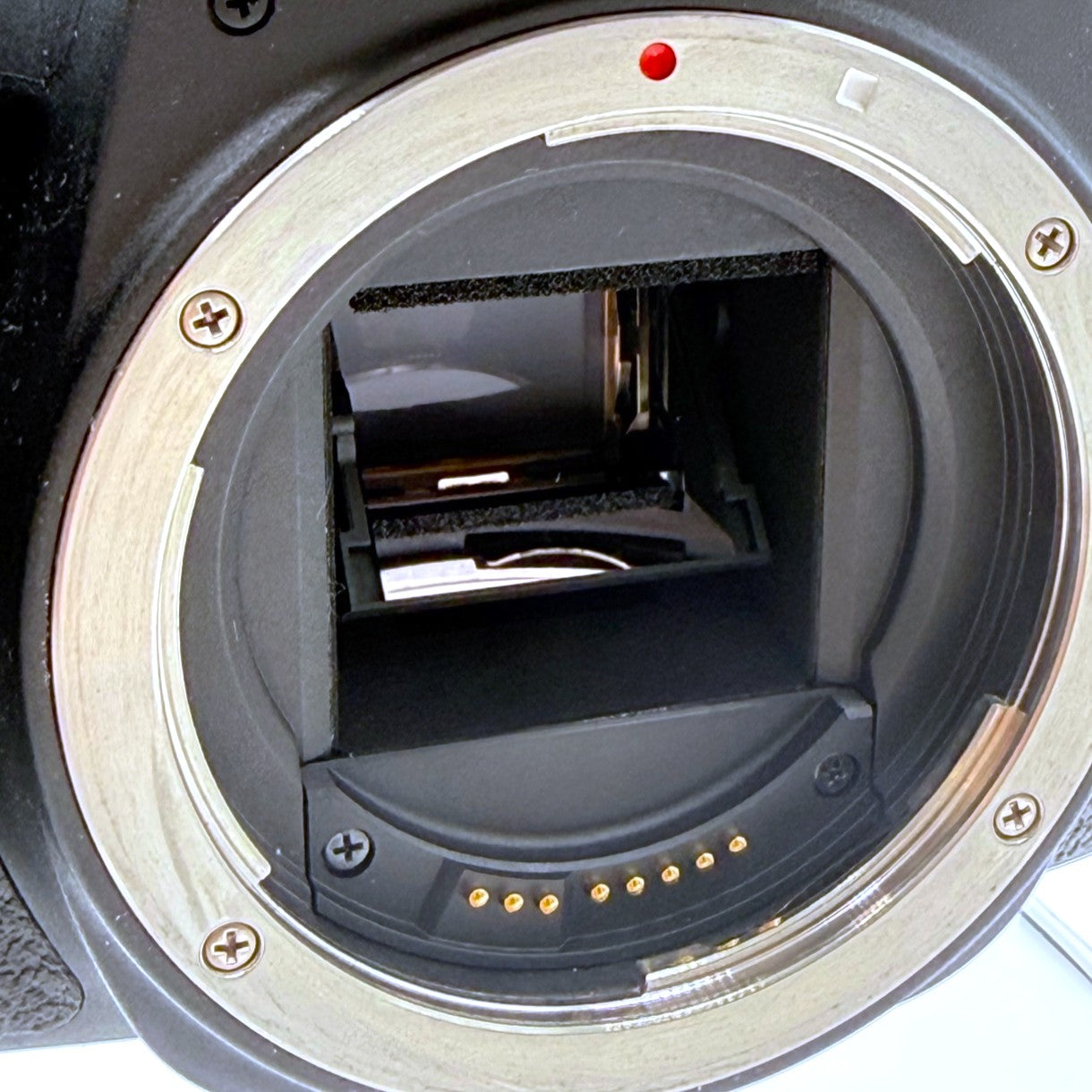 Canon EOS 800D 24.2 MP Digital SLR Camera Shutter Count 3614