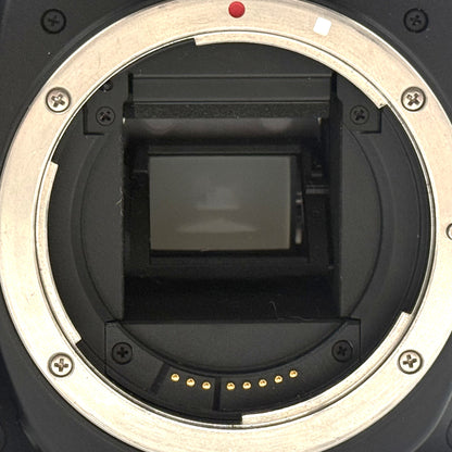 Canon EOS 80D 24.2 MP Digital SLR  Camera 6732 Shutter Count